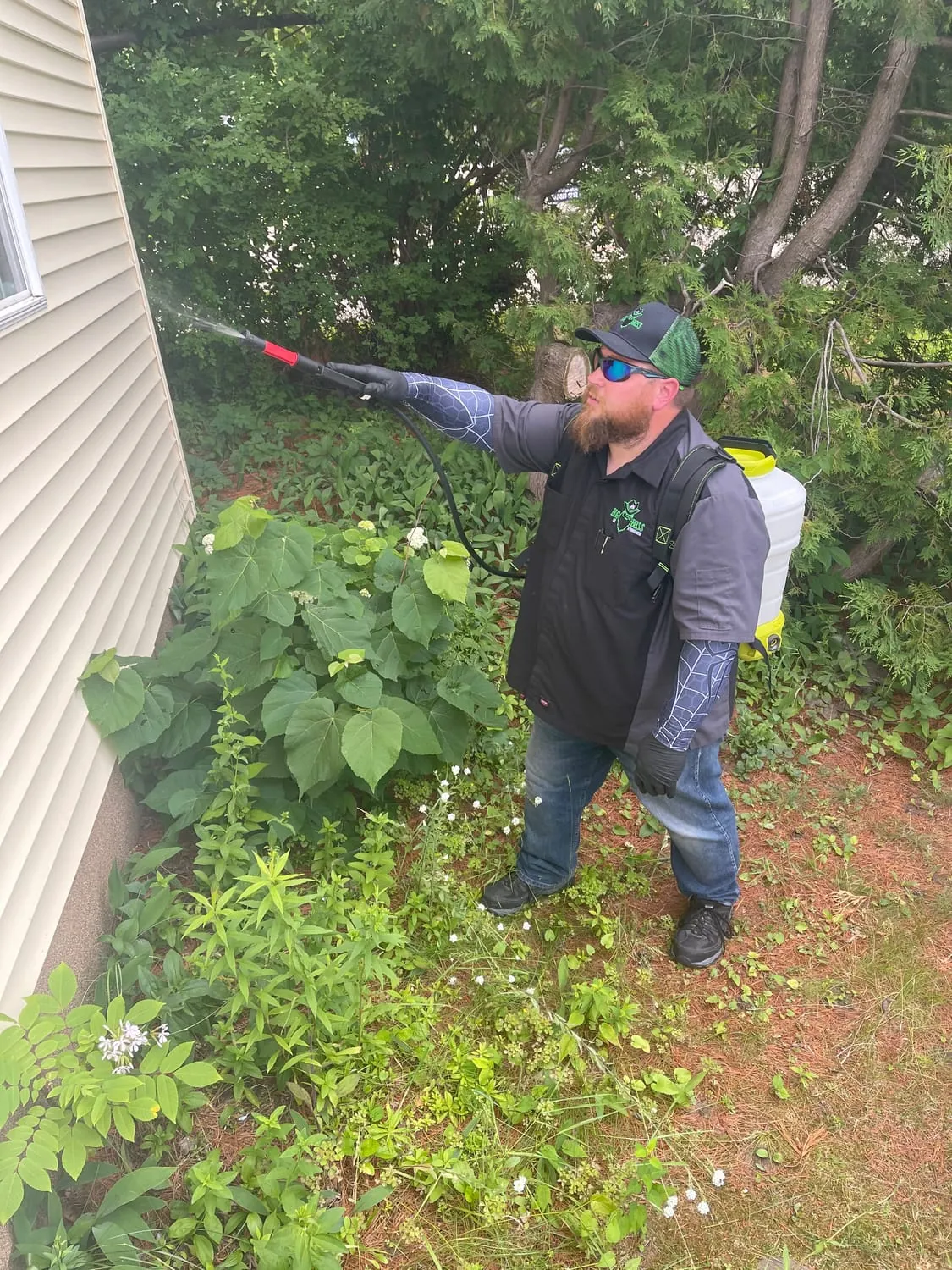 BugBoss treating shrubs and yard-edge vegetation where ticks and mosquitoes shelter